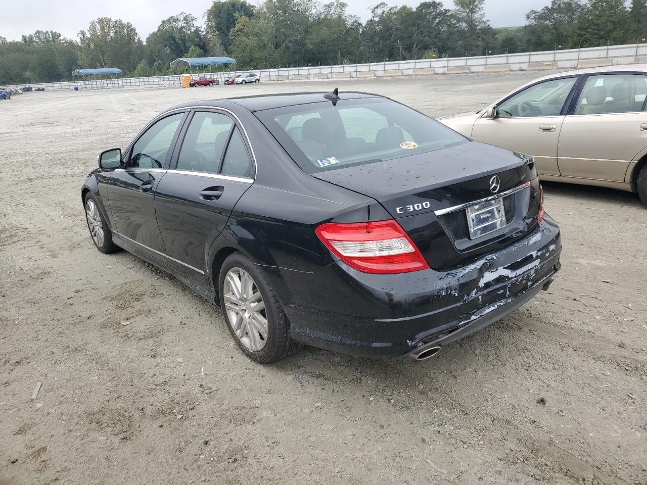 WDDGF54XX9R077460 2009 Mercedes-Benz C 300