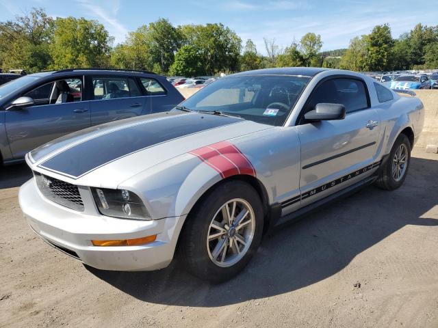 2005 Ford Mustang  zu verkaufen in Marlboro, NY - Minor Dent/Scratches