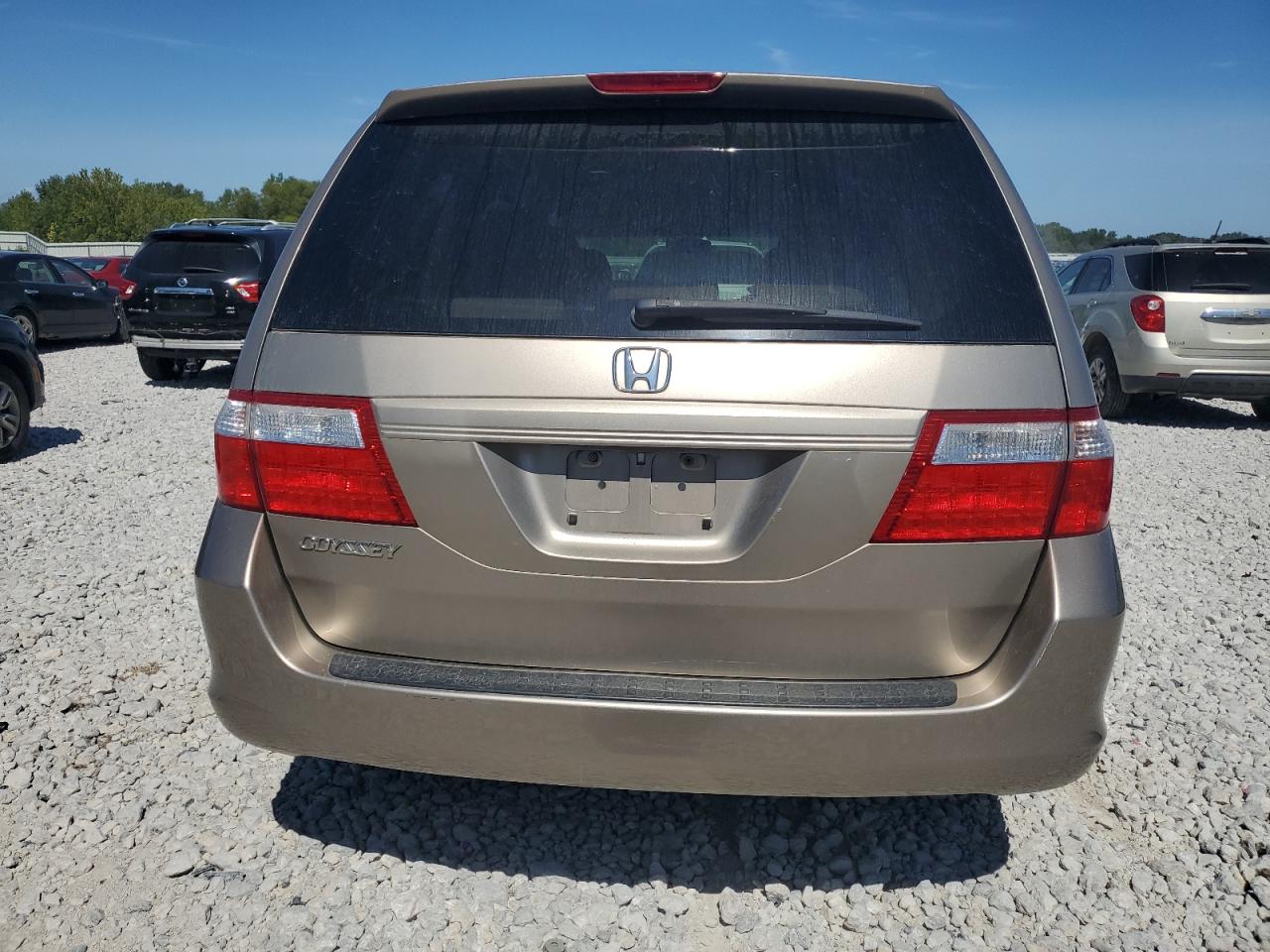 2007 Honda Odyssey Ex VIN: 5FNRL384X7B039522 Lot: 69367574