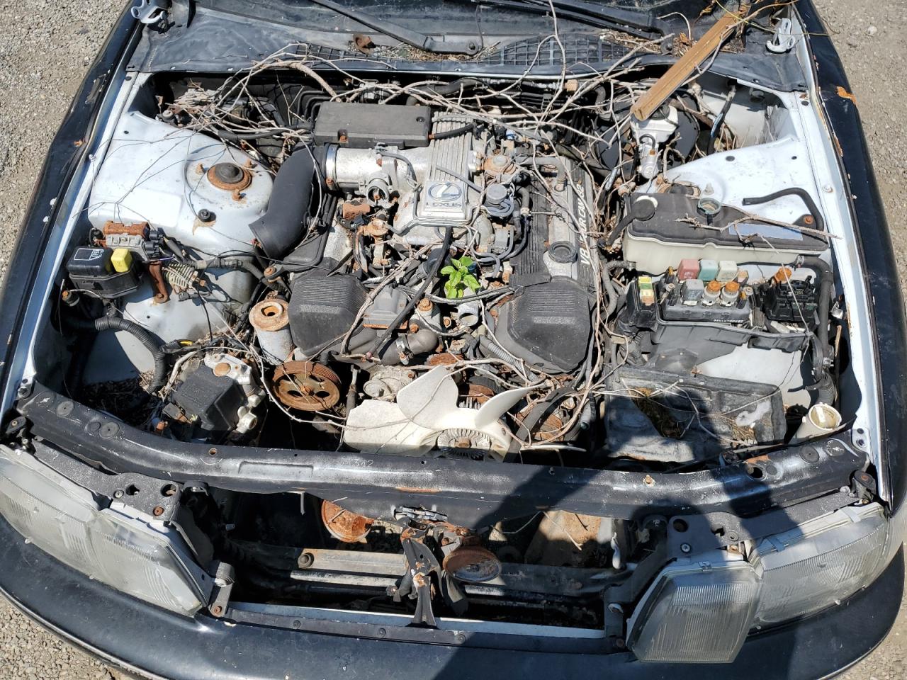 JT8UF11E4L0025101 1990 Lexus Ls 400