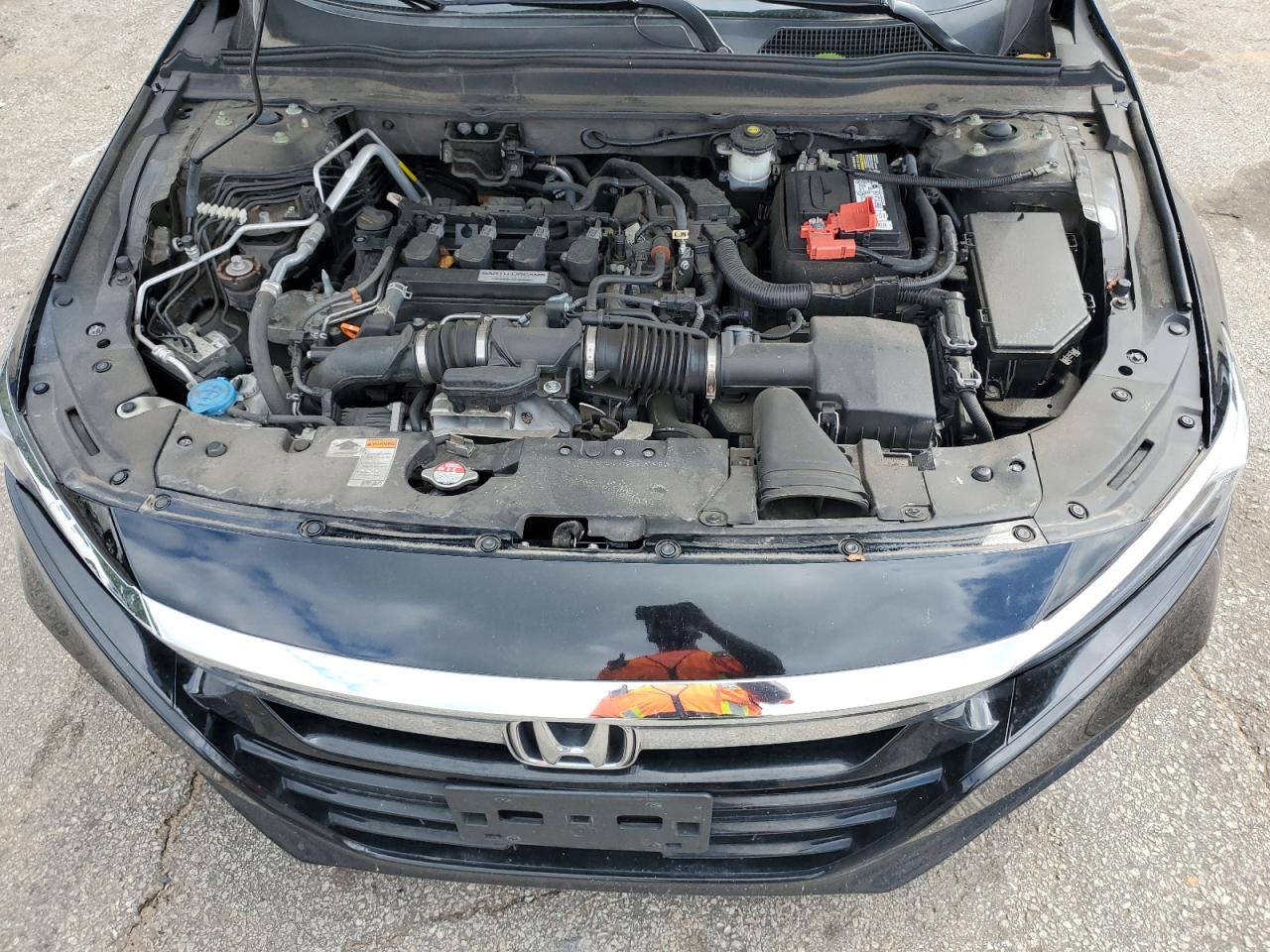 1HGCV1F42KA036186 2019 Honda Accord Ex