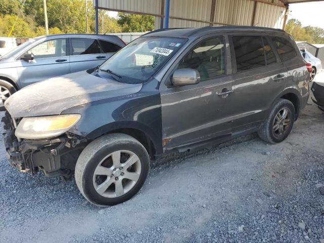 2010 Hyundai Santa Fe Gls