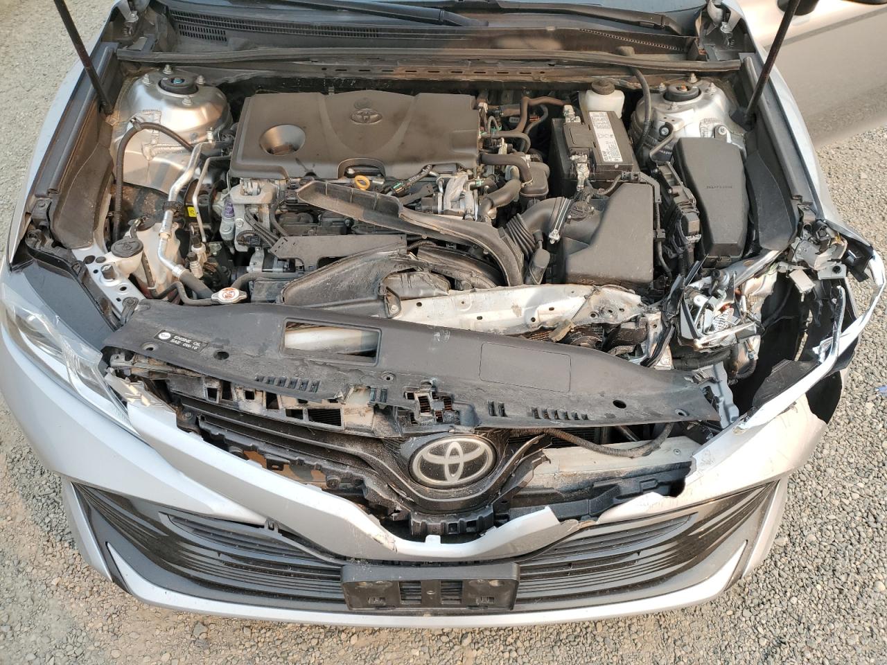 4T1B11HK8KU188985 2019 Toyota Camry L