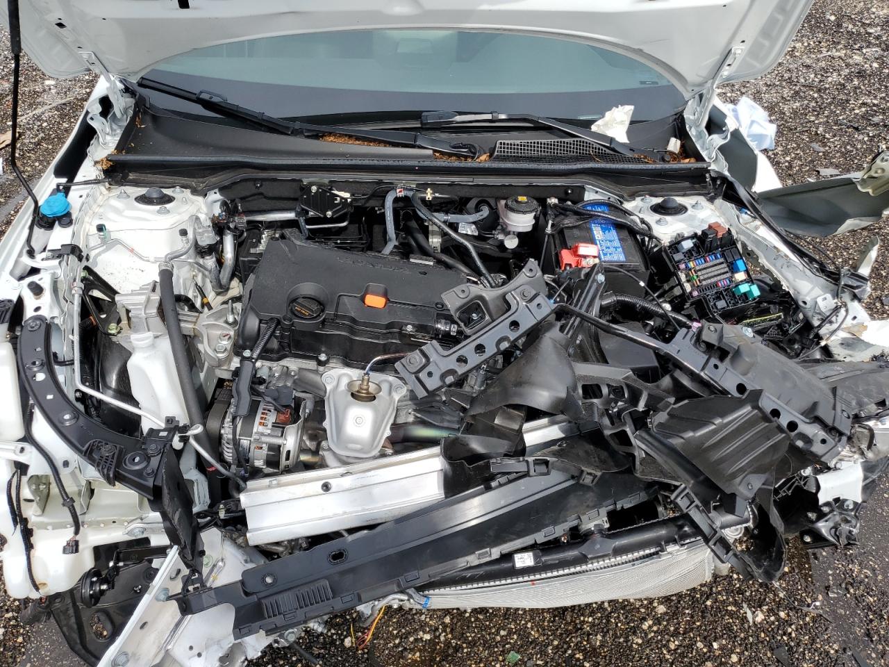 2024 Honda Civic Sport VIN: 2HGFE2F53RH563712 Lot: 71546174