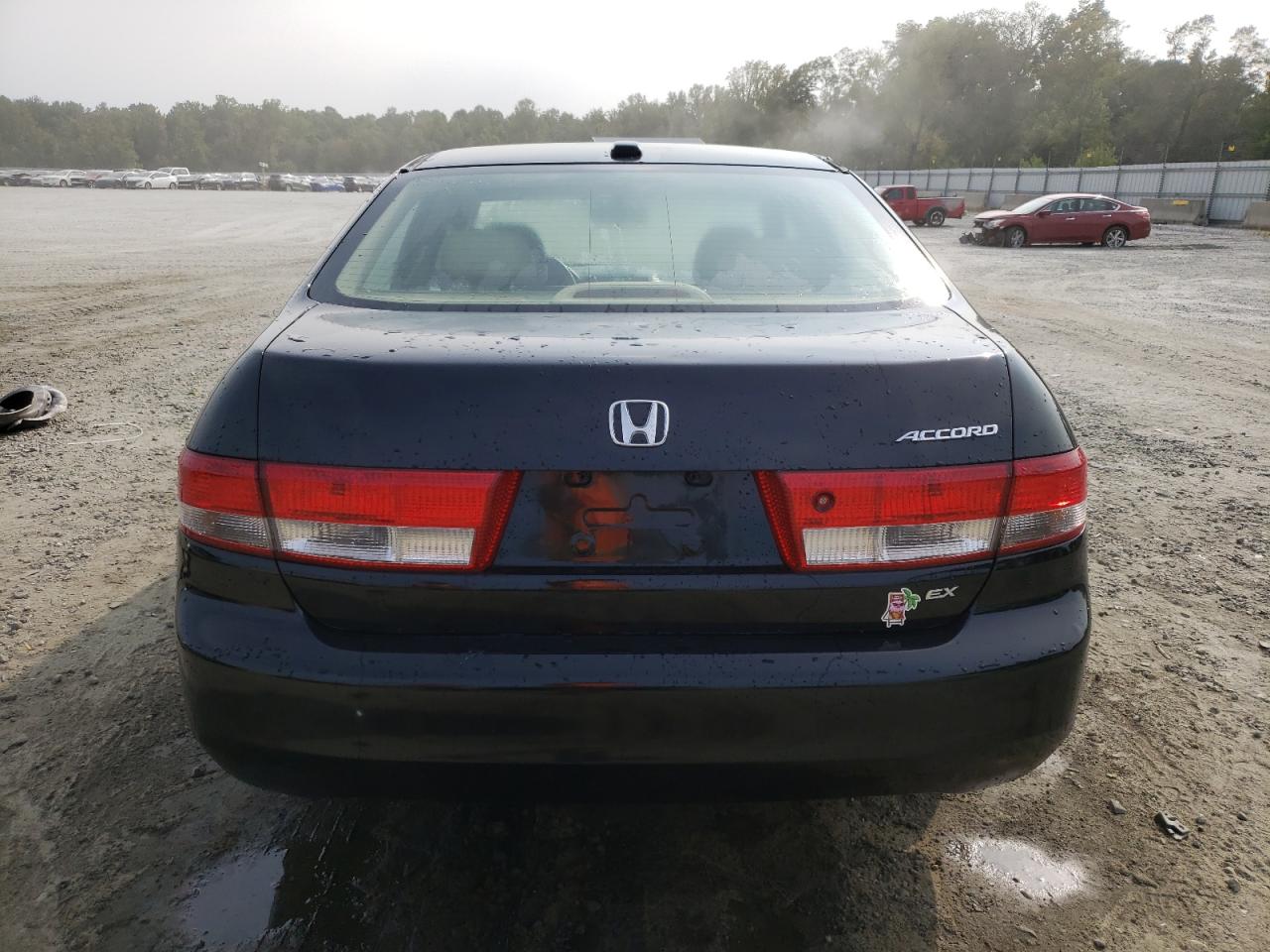 JHMCM56844C029385 2004 Honda Accord Ex