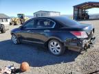 2009 Honda Accord Ex   на продаже в Helena, MT - All Over