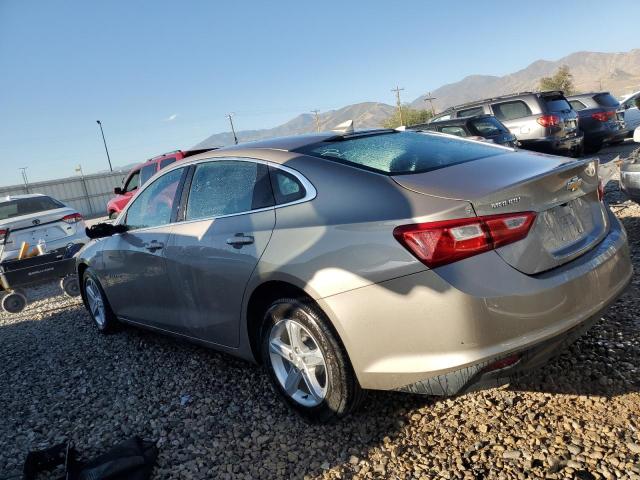  CHEVROLET MALIBU 2023 Beige