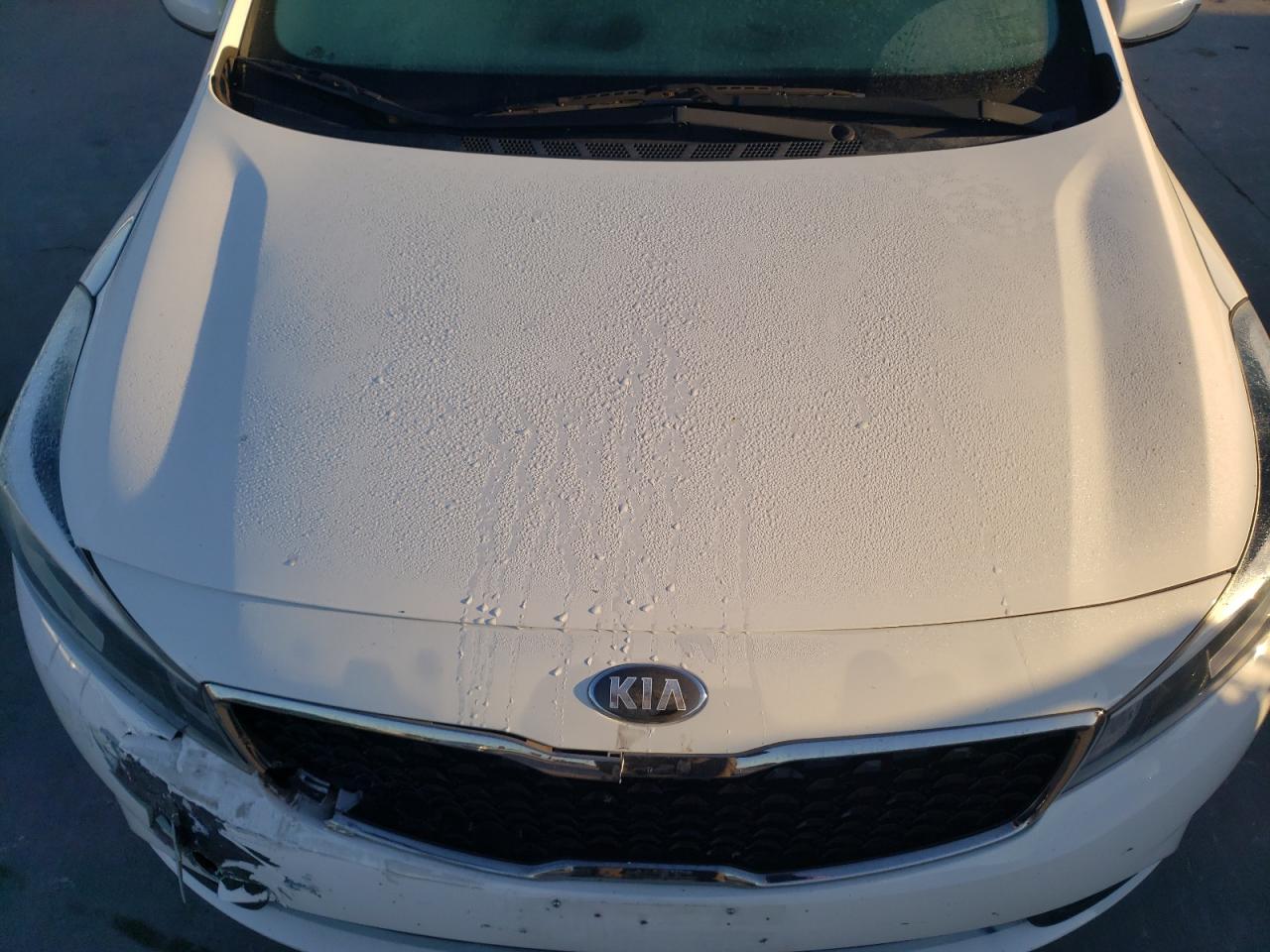 VIN 3KPFK4A72HE034273 2017 KIA FORTE no.11