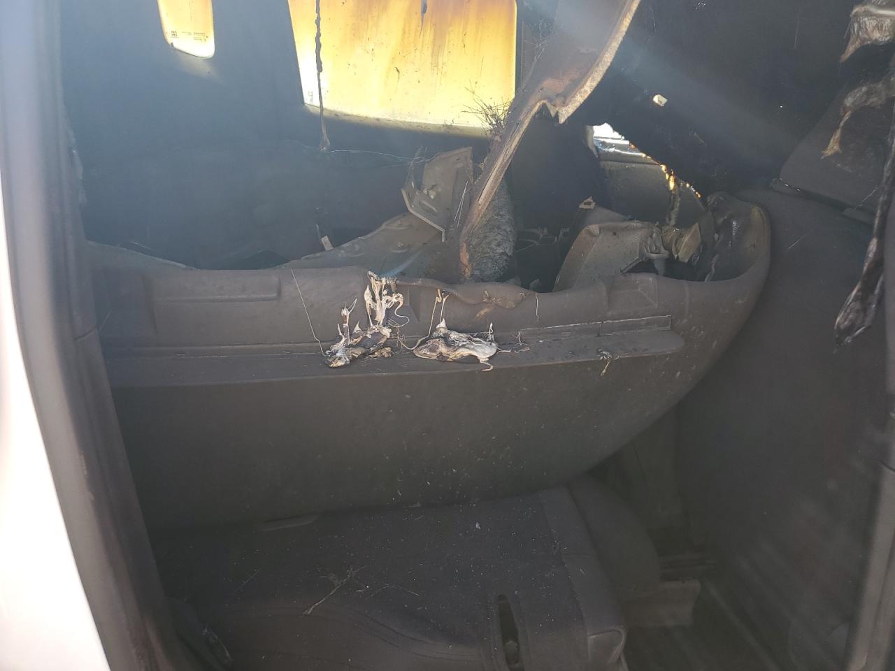 2023 Jeep Renegade Latitude VIN: ZACNJDB14PPP67206 Lot: 83431384