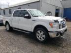 2011 Ford F150 Supercrew en Venta en Hillsborough, NJ - Rear End