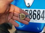 2004 Honda Vtx1300 C for Sale in Woodburn, OR - All Over