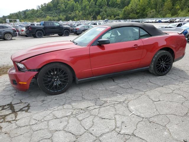 2010 Ford Mustang 