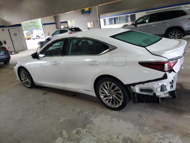 2020 LEXUS ES 300H LUXURY