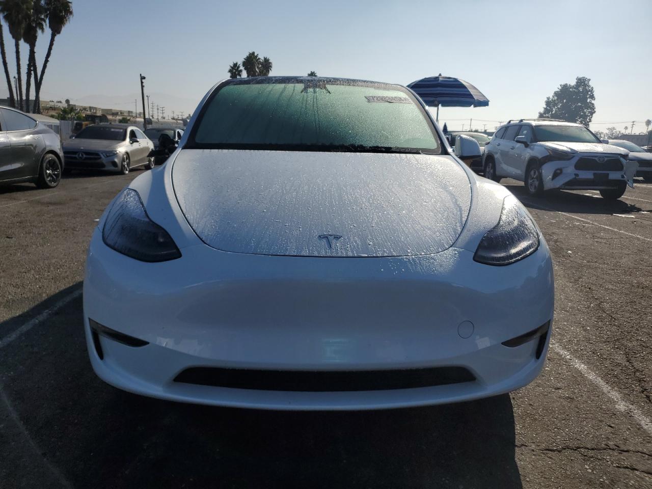 VIN 7SAYGDEE7PF765439 2023 TESLA MODEL Y no.5