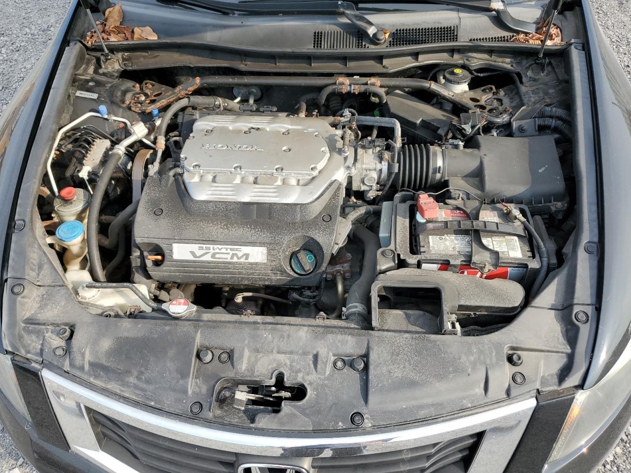 2009 Honda Accord Exl VIN: 1HGCP36859A800972 Lot: 72206484