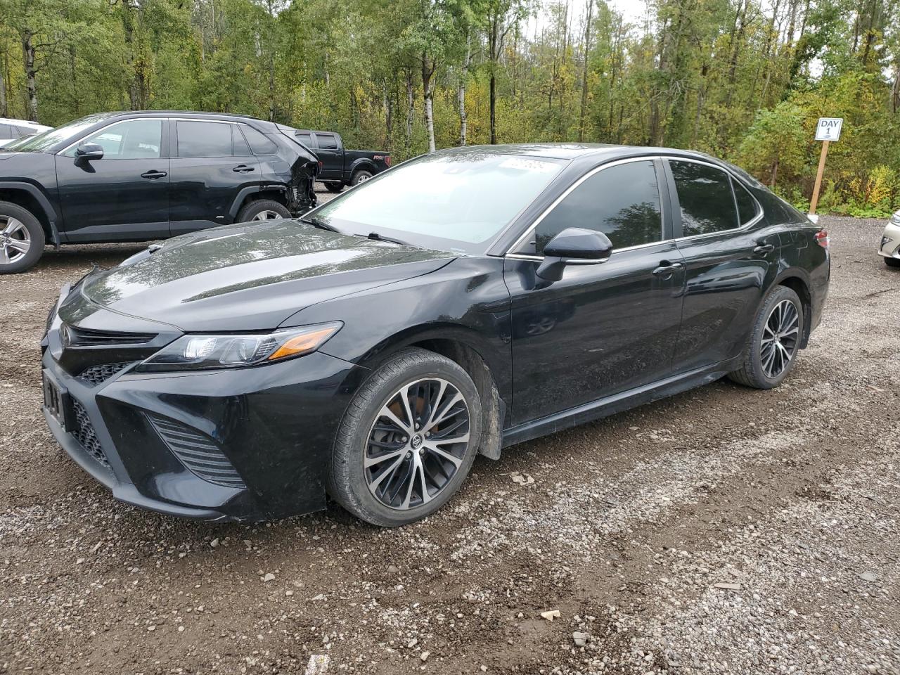 4T1B11HKXKU843745 2019 TOYOTA CAMRY - Image 1