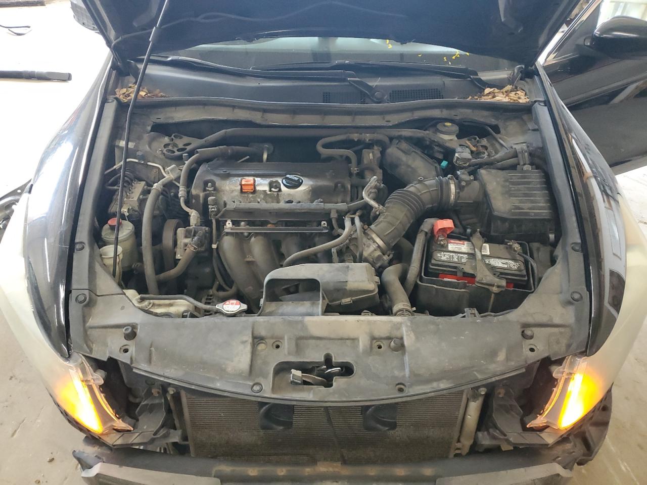 1HGCP2F80AA074453 2010 Honda Accord Exl