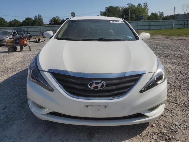  HYUNDAI SONATA 2013 Белый