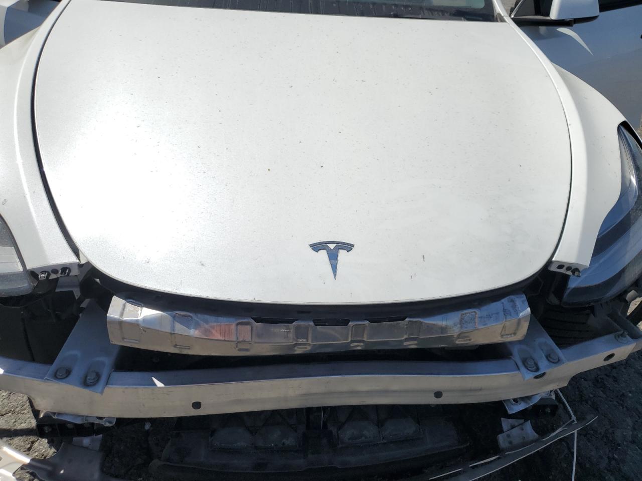 2023 Tesla Model Y VIN: 7SAYGDEE8PA024133 Lot: 71769184