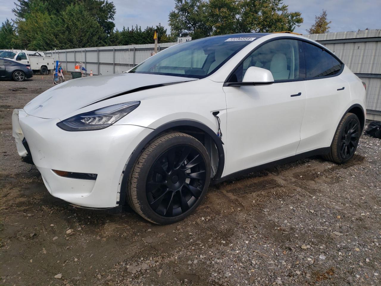 2023 Tesla Model Y VIN: 7SAYGDEE6PA148420 Lot: 78151704