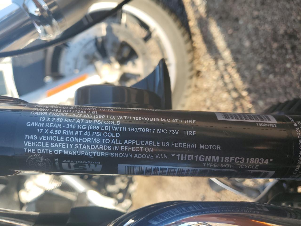 2015 Harley-Davidson Fxdl Dyna Low Rider VIN: 1HD1GNM18FC318034 Lot: 70615154