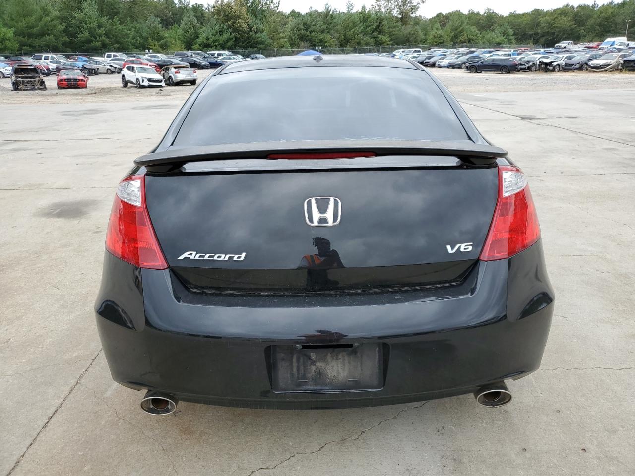 2009 Honda Accord Exl VIN: 1HGCS22849A004647 Lot: 71376014