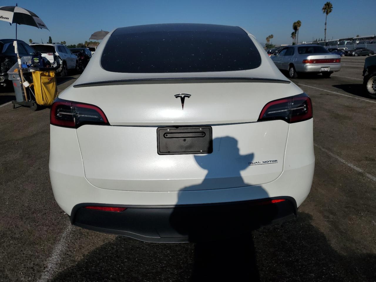 2024 Tesla Model Y VIN: 7SAYGDEF6RF133012 Lot: 69165654