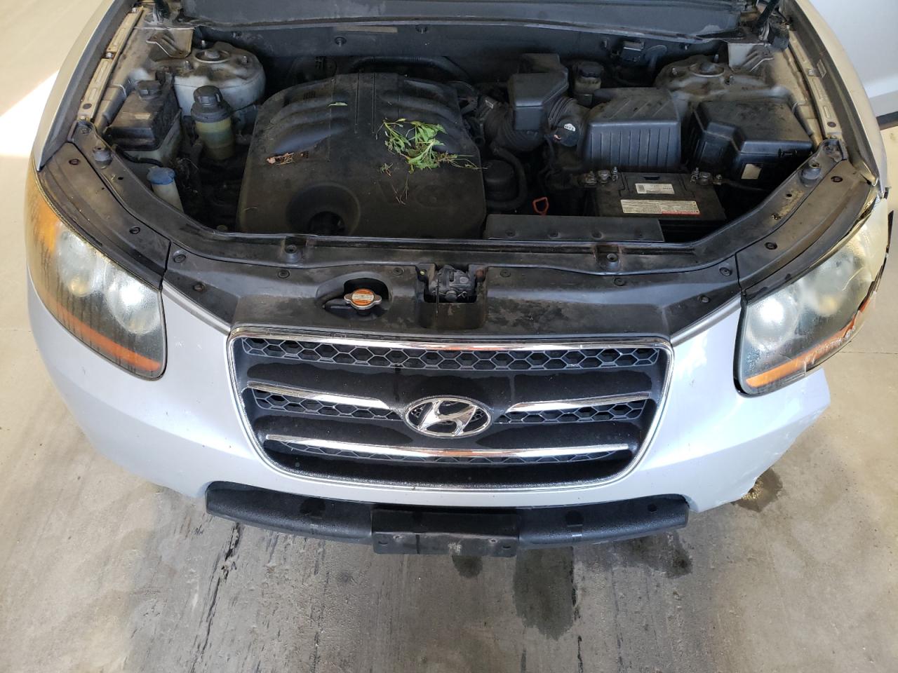 2009 Hyundai Santa Fe Se VIN: 5NMSH13E09H286184 Lot: 71785144