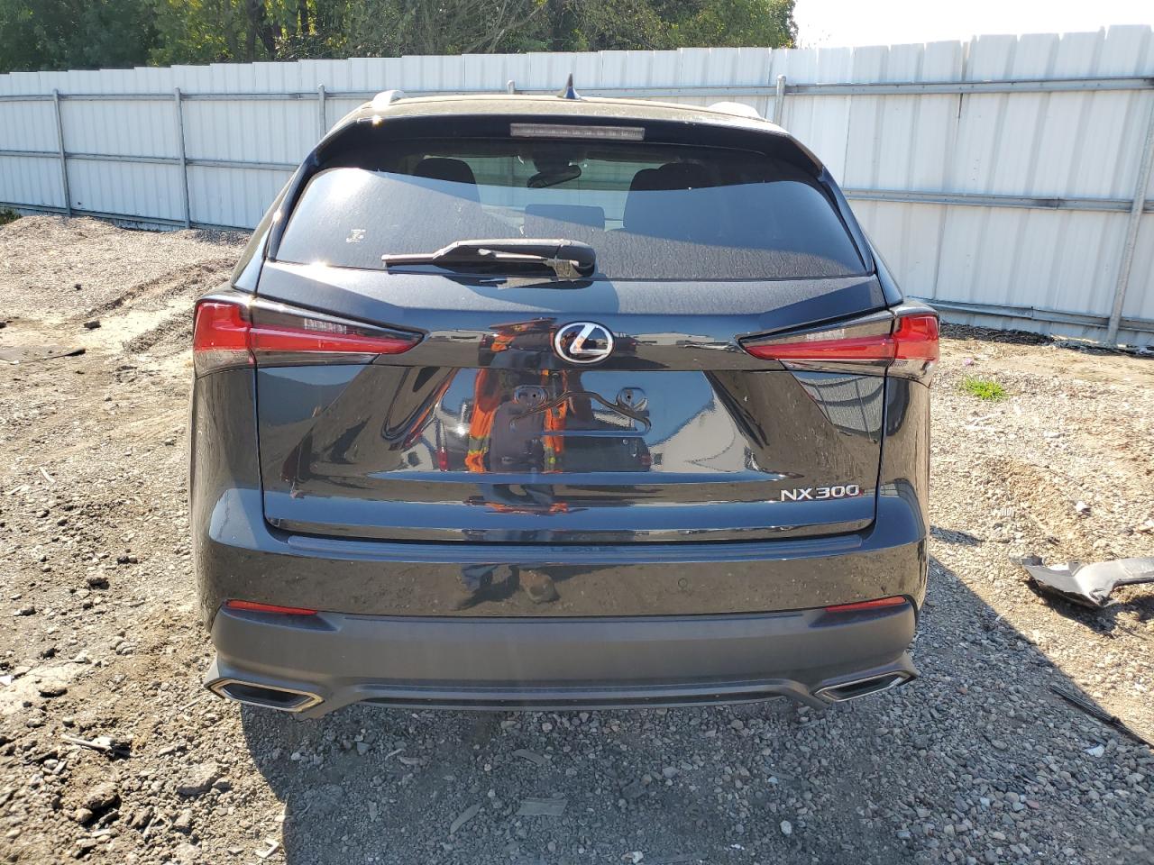 2019 Lexus Nx 300 Base VIN: JTJBARBZ3K2216693 Lot: 70718254