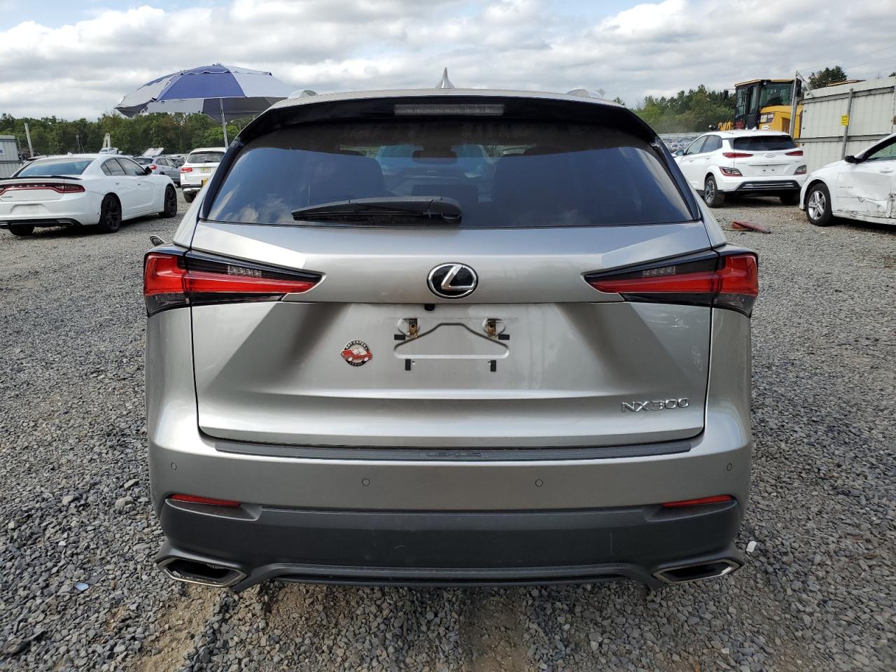 JTJDARDZ9L2231304 2020 Lexus Nx 300