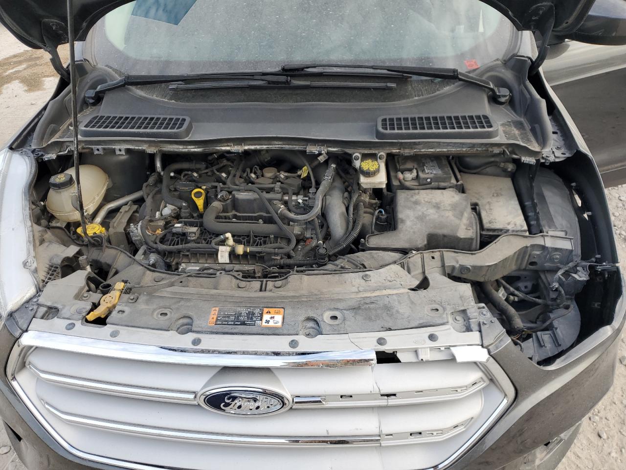 2019 Ford Escape Se VIN: 1FMCU0GD6KUC03721 Lot: 71564064