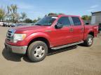 2010 Ford F150 Supercrew на продаже в New Britain, CT - Normal Wear