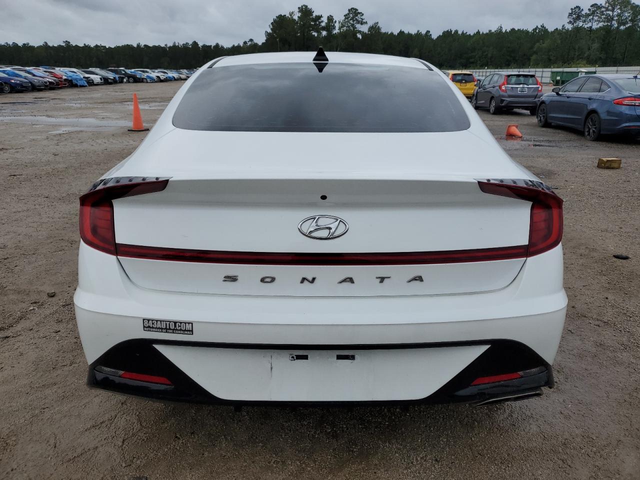 2020 Hyundai Sonata Sel VIN: 5NPEL4JA6LH013211 Lot: 73498784