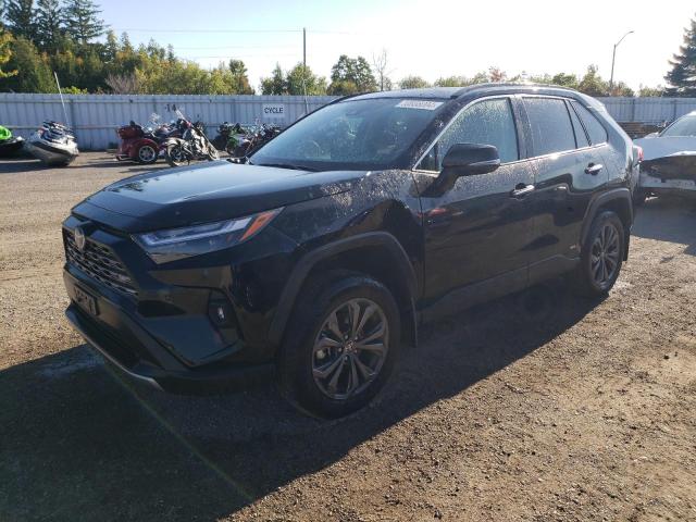 2024 Toyota Rav4 Limited for Sale in Bowmanville, ON - Rear End