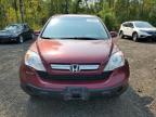 2008 HONDA CR-V EXL for sale at Copart ON - COOKSTOWN