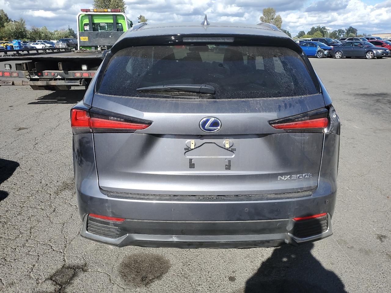 JTJBJRBZ7K2124924 2019 Lexus Nx 300H