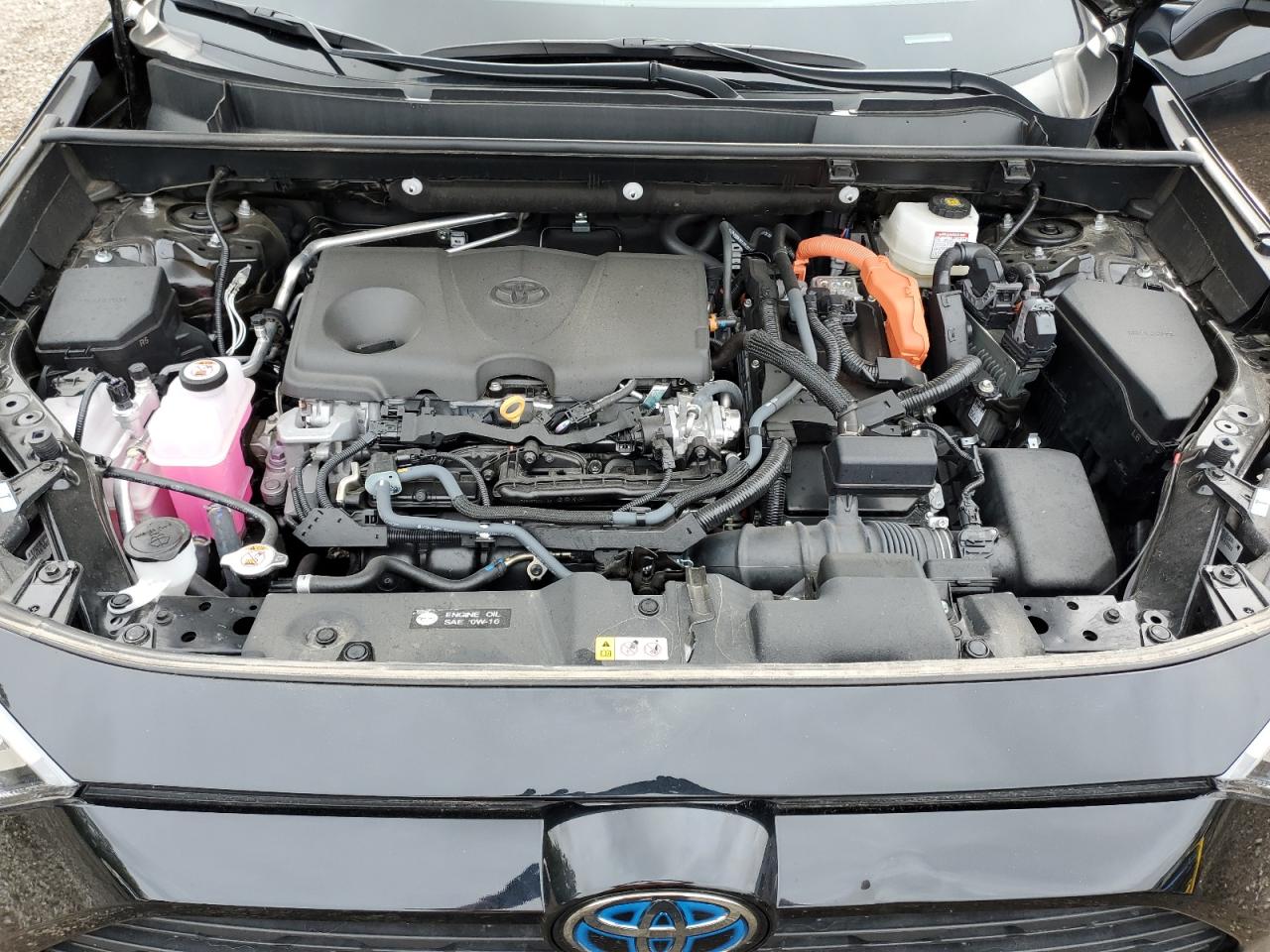 2T3RWRFV3PW160943 2023 Toyota Rav4 Xle 2T3RWRFV3PW160943 2023 Toyota Rav4 Xle
