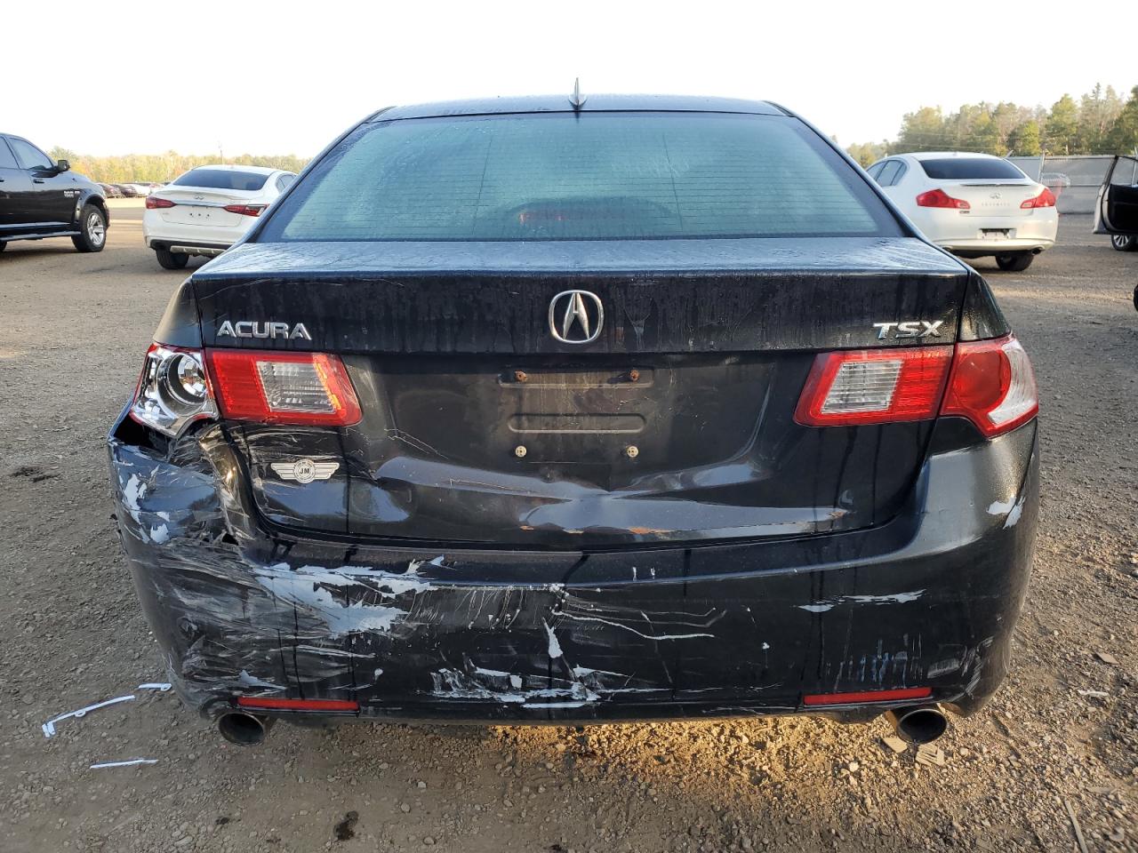 2010 Acura Tsx VIN: JH4CU2F66AC016985 Lot: 69508624