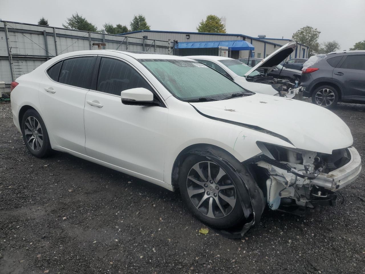 19UUB1F53GA007597 2016 Acura Tlx Tech