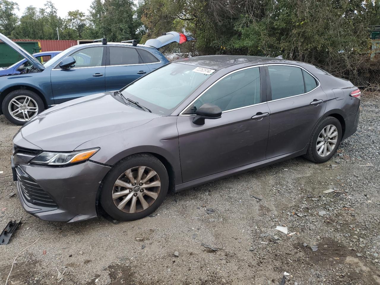 4T1C11AK7LU348631 2020 Toyota Camry Le