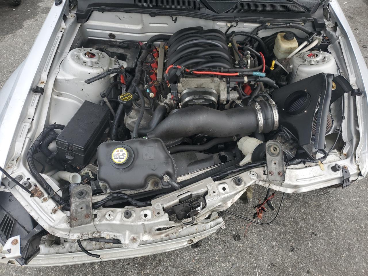 2006 Ford Mustang Gt VIN: 1ZVFT82H965160616 Lot: 70811174