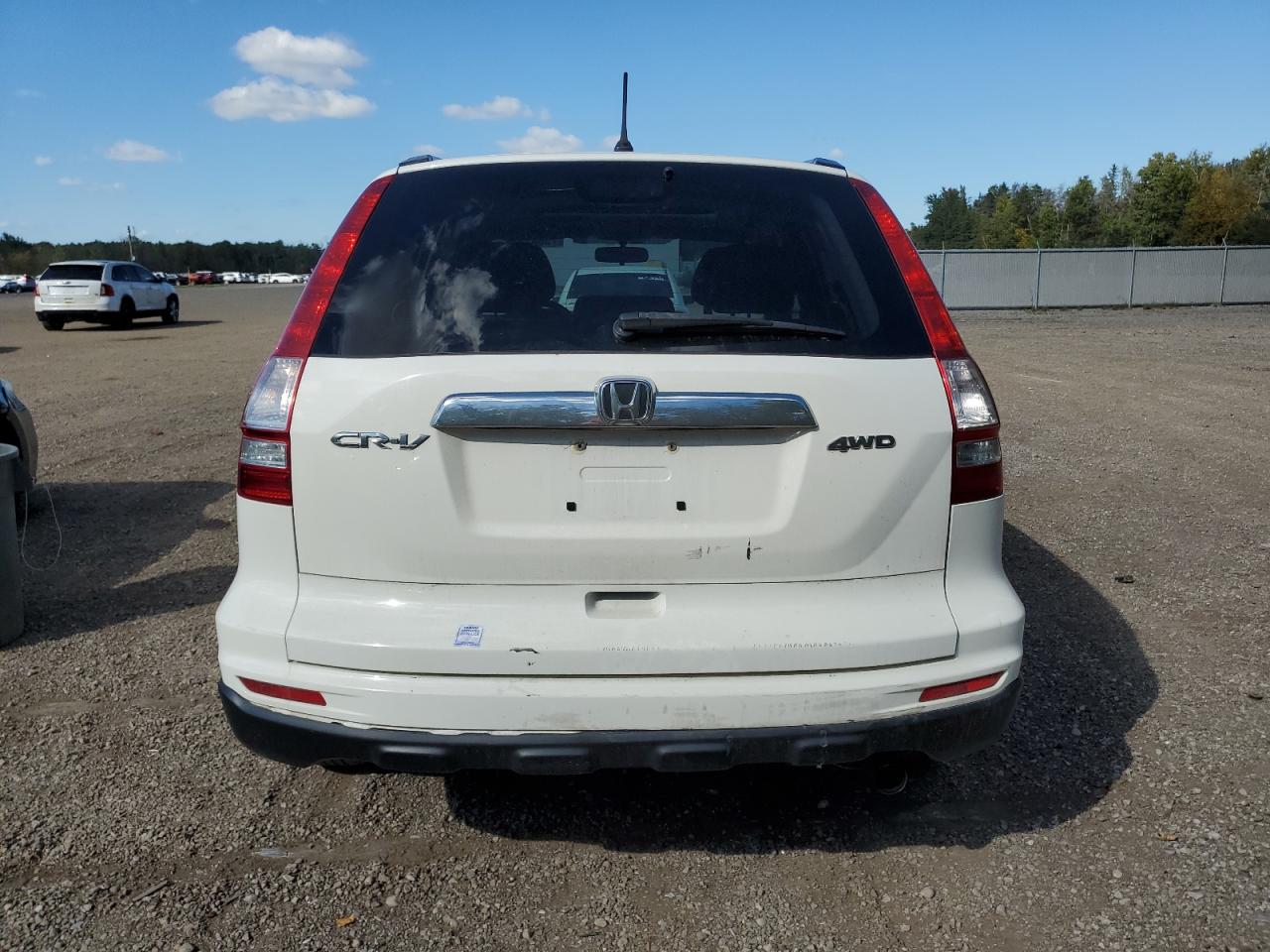 2010 Honda Cr-V Ex VIN: 5J6RE4H55AL807494 Lot: 73642424