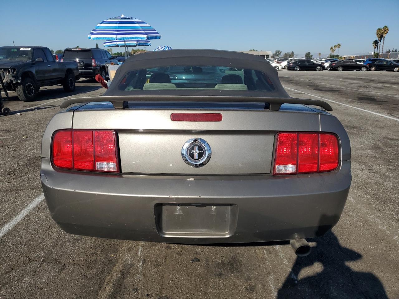 2005 Ford Mustang VIN: 1ZVFT84N255232547 Lot: 70791344