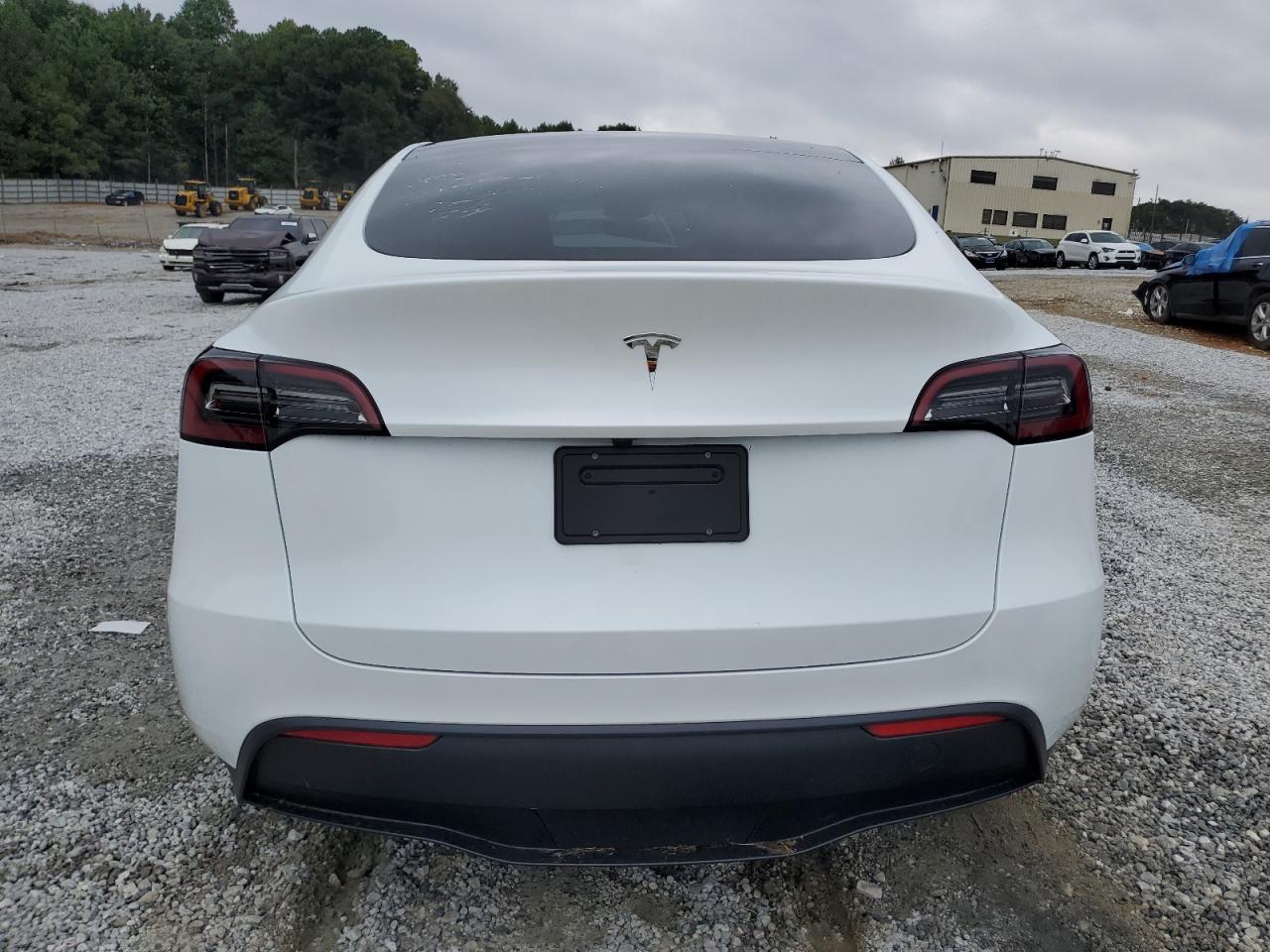 2024 Tesla Model Y VIN: 7SAYGDED2RA301448 Lot: 71685144