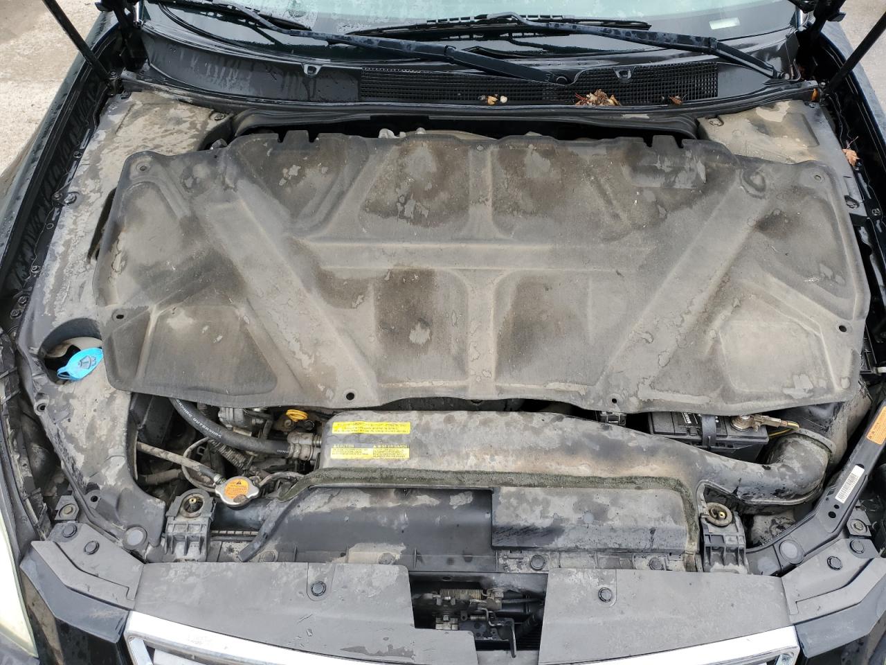 1N4BA41E57C856979 2007 Nissan Maxima Se