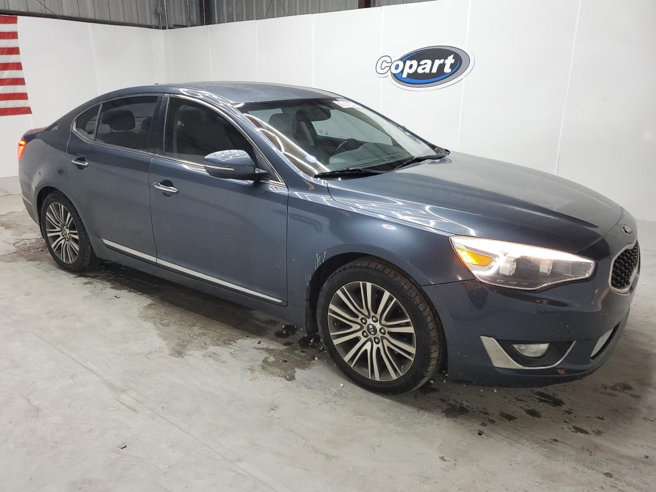 2014 Kia Cadenza Premium VIN: KNALN4D70E5166958 Lot: 70852044