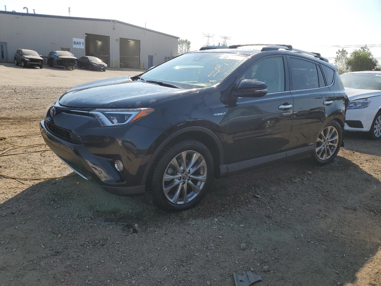 VIN JTMDJREV8GD006929 2016 TOYOTA RAV4 no.1