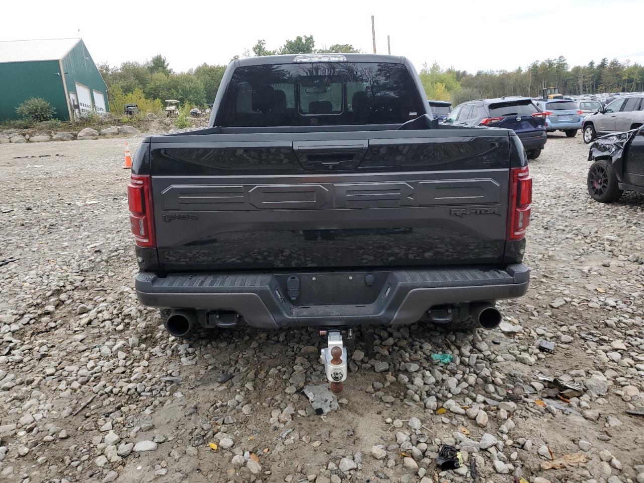 2018 Ford F150 Raptor VIN: 1FTFW1RG8JFD09017 Lot: 72277994