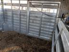 2017 Exiss Livestock იყიდება Wichita-ში, KS - All Over