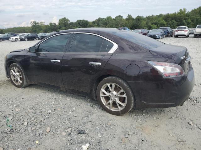  NISSAN MAXIMA 2014 Purple